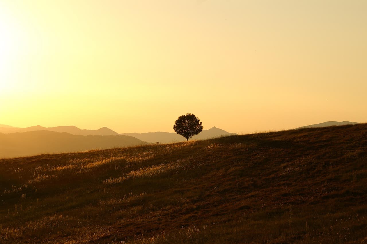 tree, meadow, sunset, nature, sunrise, dusk, dawn, field, hill, scenery, countryside, landscape, solitary, umbria